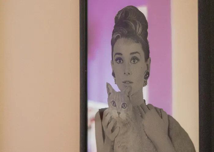 Sophie's Place * Split